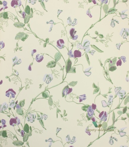 Tapeta 100/6030 Cole & Son Archive Anthology Sweet Pea