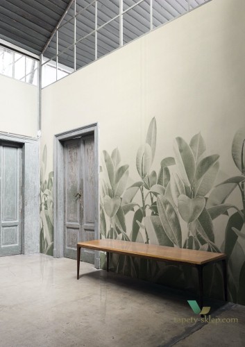 Tapeta London Art 18056 Rubber Plant