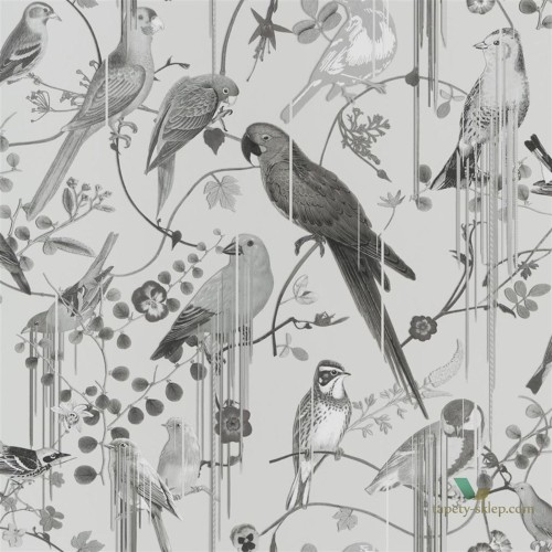 Tapeta Ptaki Papugi Christian Lacroix PCL7017/08 Birds Sinfonia Histoires Naturelles