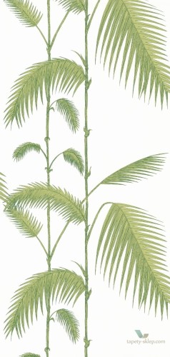Tapeta Cole & Son Contemporary Restyled Palm Leaves 95/1009