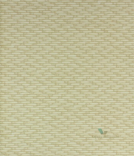 Tapeta Cole & Son Foundation 92/9042 Weave