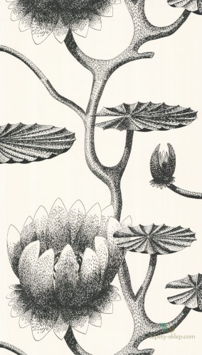 Tapeta Cole & Son Contemporary Restyled Lily 95/4020