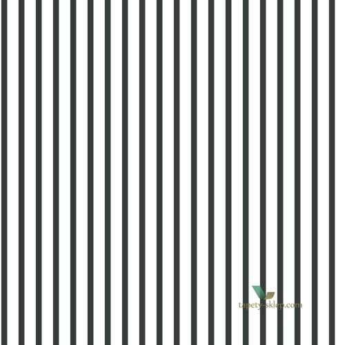 Tapeta Galeria G67533 Smart Stripes 2