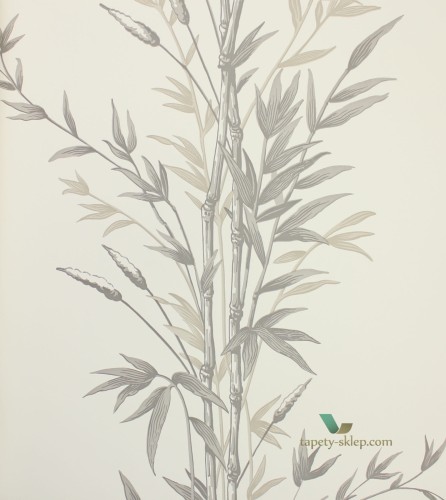 Tapeta 100/5025 Cole & Son Archive Anthology Bamboo