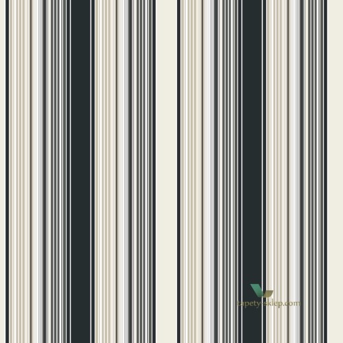 Tapeta Galeria G67527 Smart Stripes 2