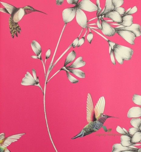 Tapeta Harlequin 111058 Amazilia