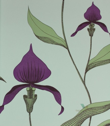 Tapeta Cole & Son 66/4027 Orchid The Contemporary Selection