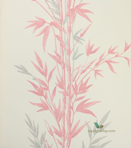Tapeta 100/5024 Cole & Son Archive Anthology Bamboo