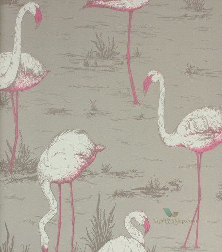 Tapeta Cole & Son 66/6042 Flamingos The Contemporary Selection