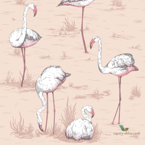Tapeta Cole & Son Icons 112/11039 Flamingo