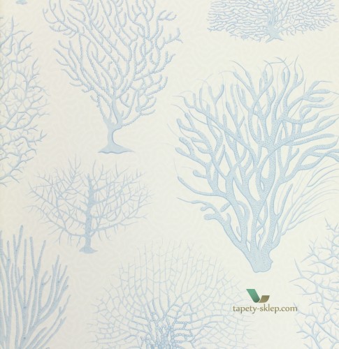 Tapeta Cole & Son 107/2009 Seafern Curio