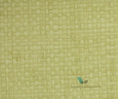 Tapeta Thibaut T14142 Bankun Raffia Texture Resource 5