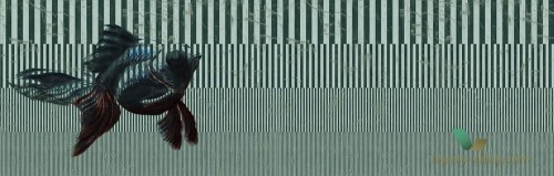 Fototapeta Wall&Deco WDBE1803 BESTIARIVM Contemporary 2018