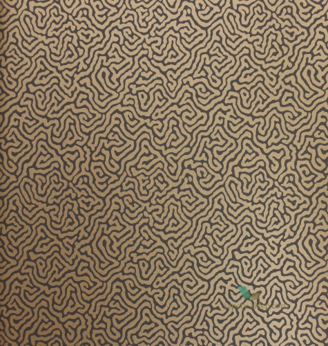 Tapeta Cole & Son 107/4020 Vermicelli Curio