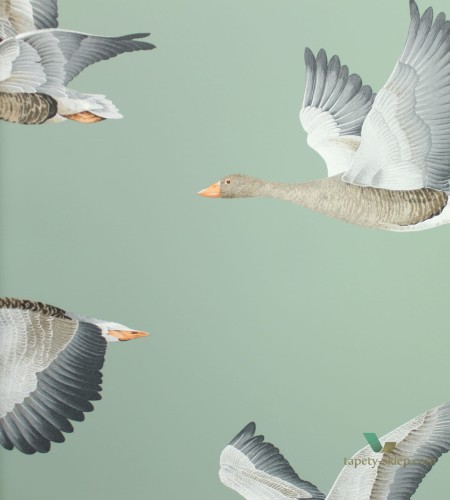 Tapeta ptaki Sanderson 216610 Geese Elysian