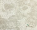 Tapeta PDG647/02 Palasini Designers Guild