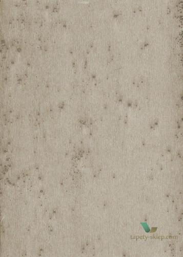 Tapeta Blacha Arte 37508 Stellar Metal X Signum