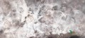 Fototapeta Wall&Deco Nebulae WDNB1701 Contemporary 2017