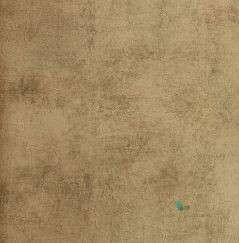 Tapeta Lizzo 21516 Sfumatura Scene di Interni