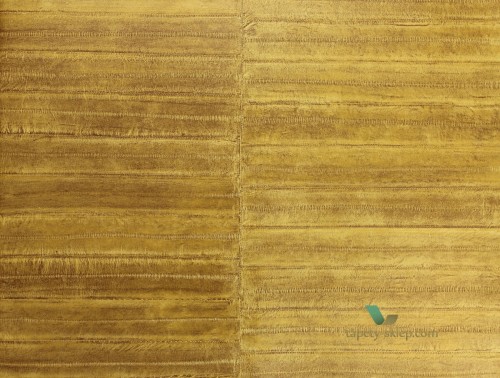 Tapeta Elitis VP42406 Anguile