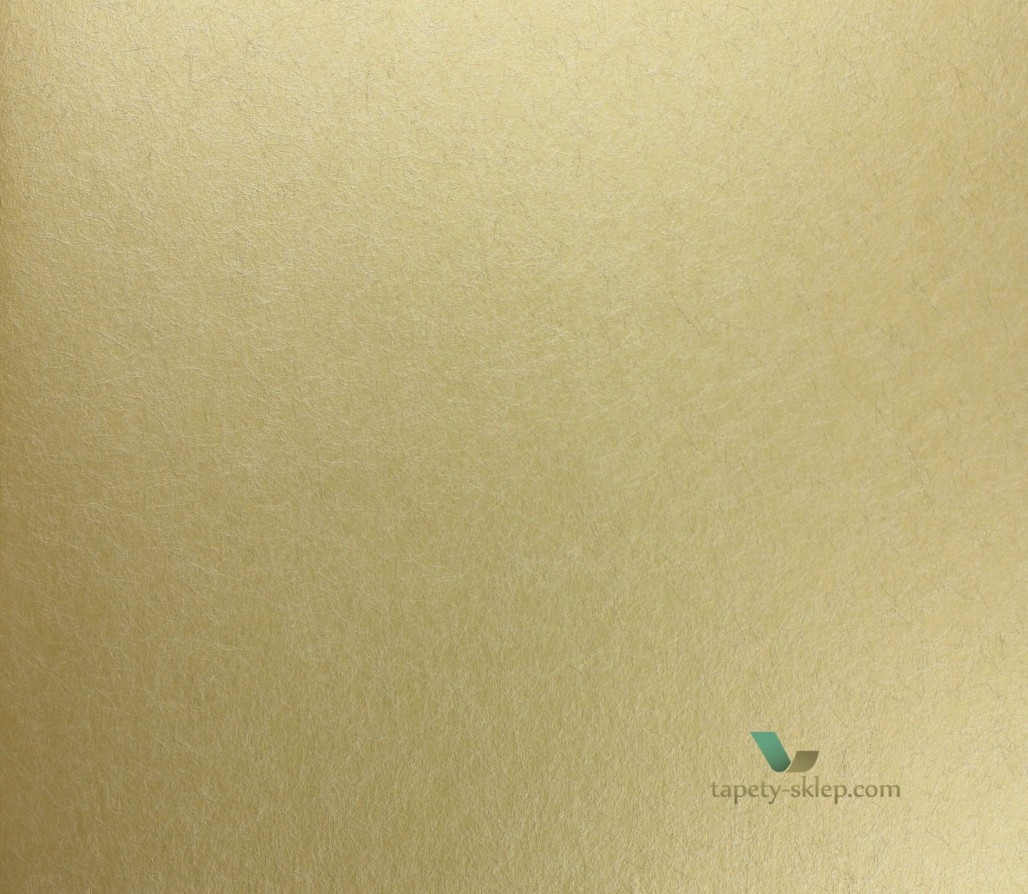 Tapeta Designers Guild P502/01 The Edit