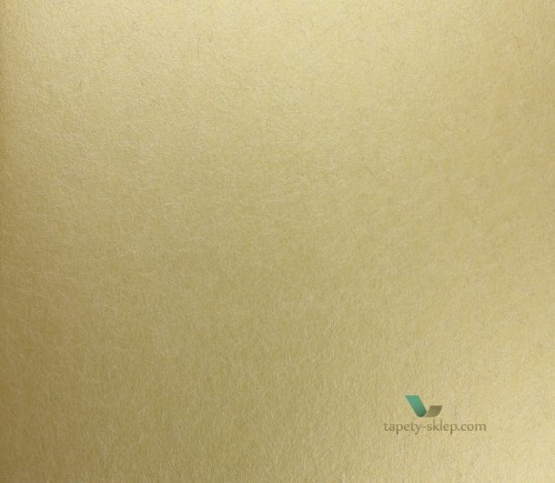 Tapeta Designers Guild P502/01 The Edit