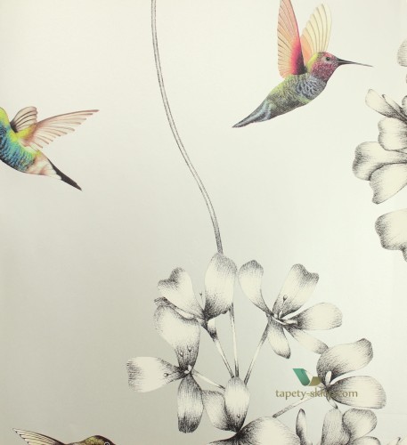 Tapeta Harlequin 111062 Amazilia