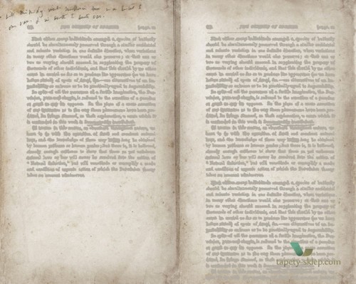 Fototapeta Wall&Deco Wordless WDWL1502 Contemporary 15