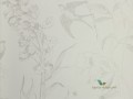 Tapeta Designers Guild PDG714/02 Jardin des plantes