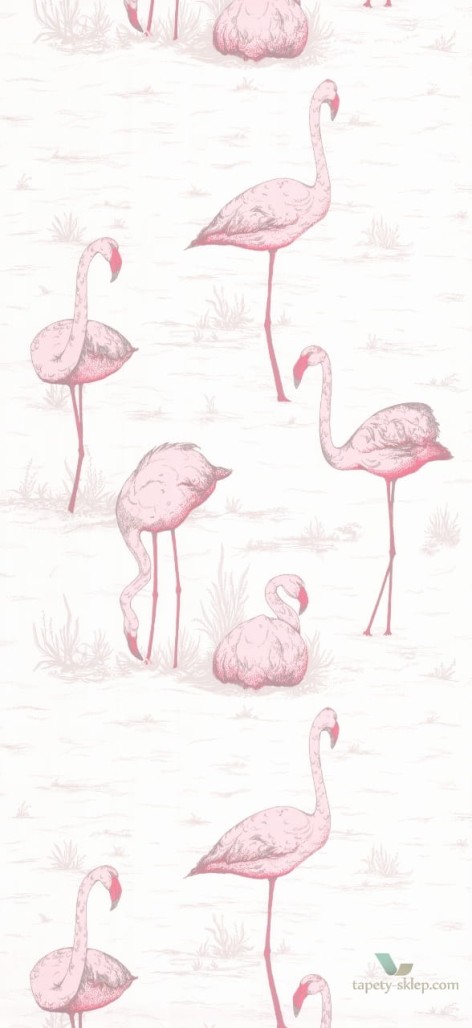 Tapeta Cole & Son Contemporary Restyled Flamingos 95/8045