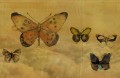 Tapeta Wall&Deco Butterflies GPW1433 Contemporary 14