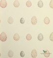 Tapeta Sanderson 216506 Nest Egg