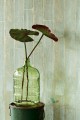 Tapeta Eijffinger 369025 Resource