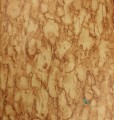 Tapeta Nina Campbell NCW4204-04 Fontibre