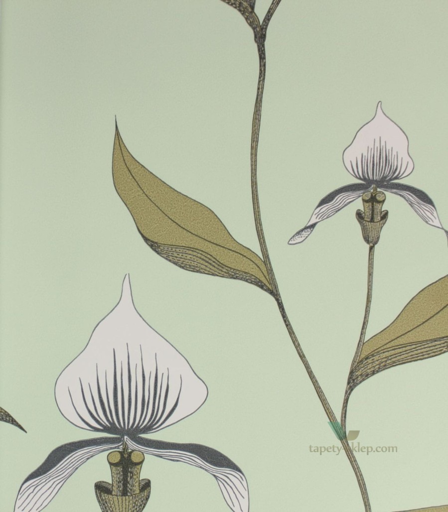 Tapeta Cole & Son 66/4028 Orchid The Contemporary Selection