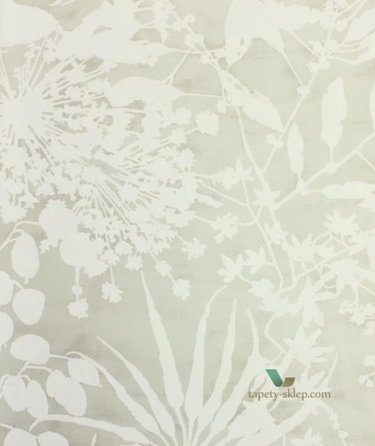 Tapeta Harlequin 111640 Coralline Anthozoa