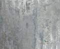 Tapeta 111170 Anthology 03