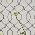 Tapeta Designers Guild PDG1027/01 Rabeshi Majolica