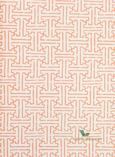 Tapeta Thibaut T35168 Taza Graphic Resource