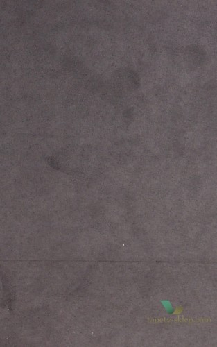 Tapeta Arte 28514 Noble Welur Takara