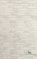 Tapeta orientalna Arte 48550 Papyrus Cantala