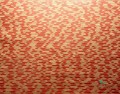 Tapeta orientalna Arte 48552 Papyrus Cantala