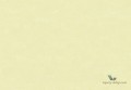 Tapeta Marburg 30128 Bombay Exclusive