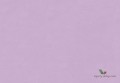 Tapeta Marburg 30132 Bombay Exclusive