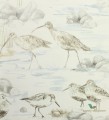 Tapeta ptaki Sanderson 216492 Estuary Birds