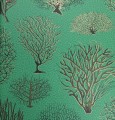 Tapeta Cole & Son 107/2007 Seafern Curio