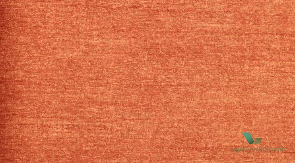 Tapeta Arte 24507 Canvas Curiosa