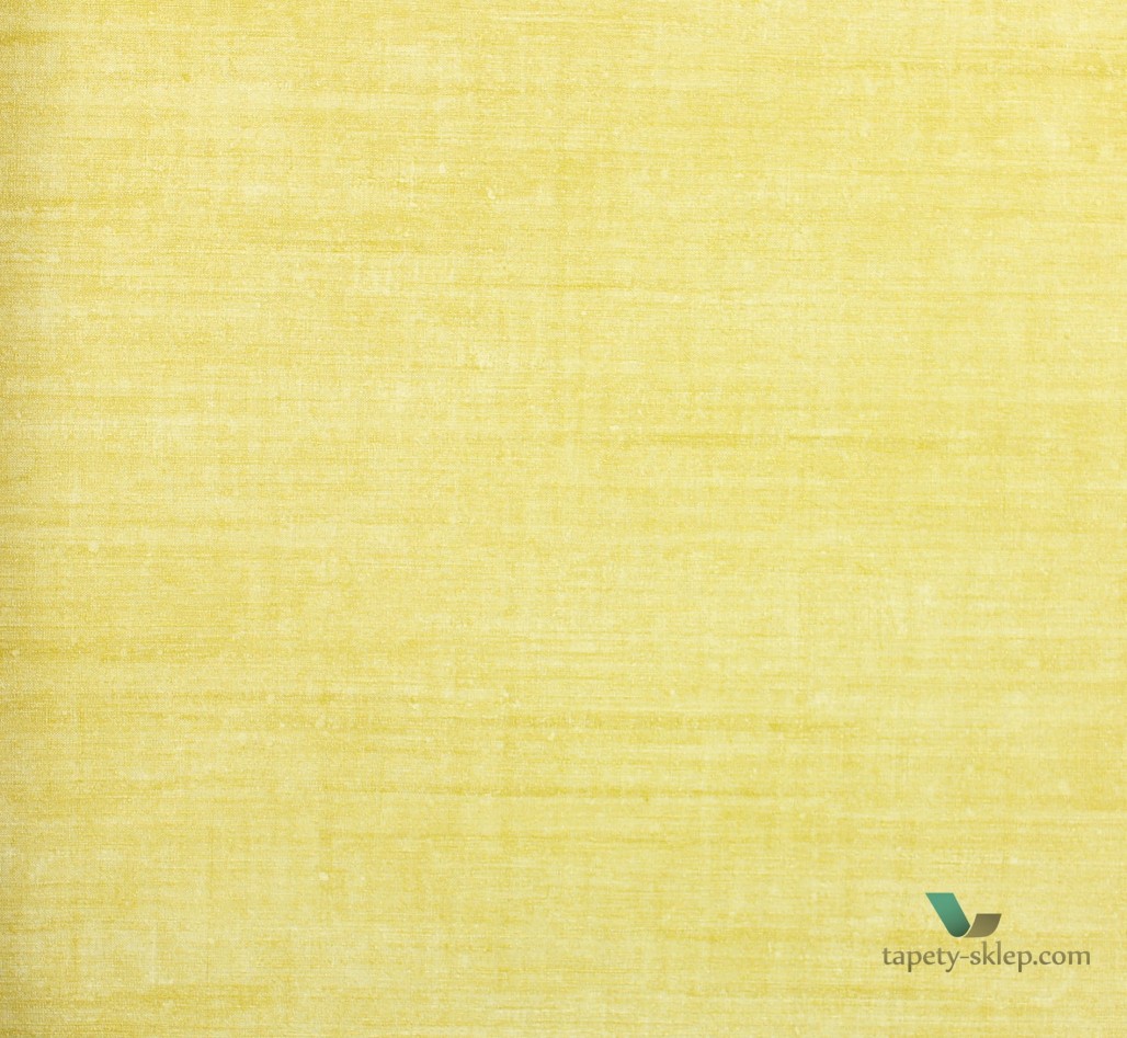 Tapeta Arte 24509 Canvas Curiosa