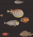 Tapeta Ryby Cole&Son Acquario 97/10048 Fornasetti Senza Tempo
