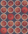 Tapeta Owoce Cole&Son Arance 114/24046 Fornasetti Senza Tempo
